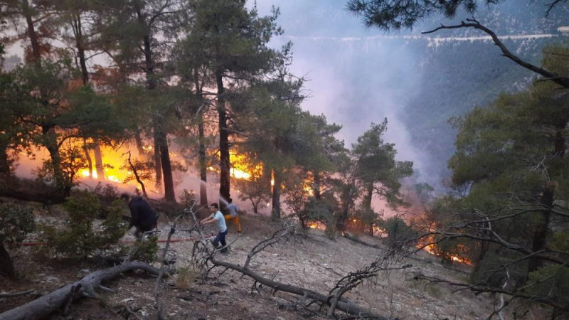 Bolu’da ormana düşen yıldırım yangın çıkardı 
